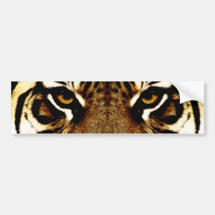 Ögon av en tiger bildekal