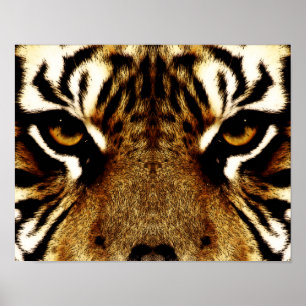Ögon av en tiger poster