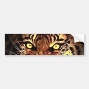 Ögon av Vild Sumatran Tiger Bumper Sticker Bildekal
