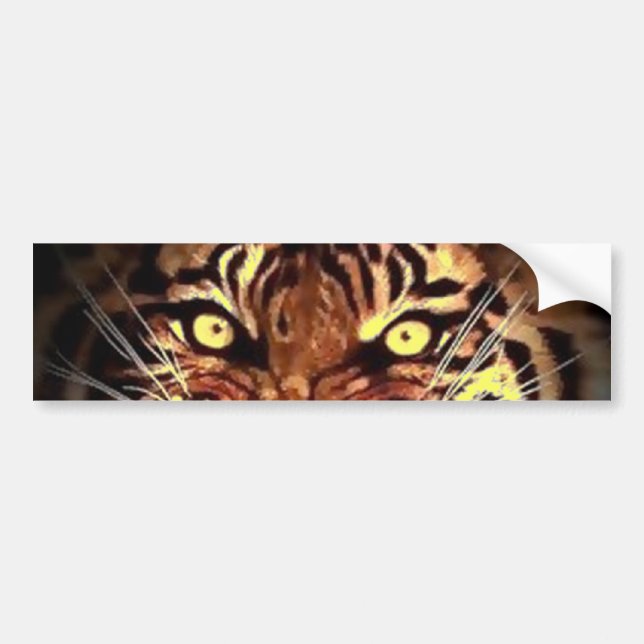 Ögon av Vild Sumatran Tiger Bumper Sticker Bildekal (Framsidan)