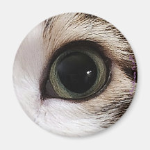 "Ögon har det"-katt öga #2-magnet