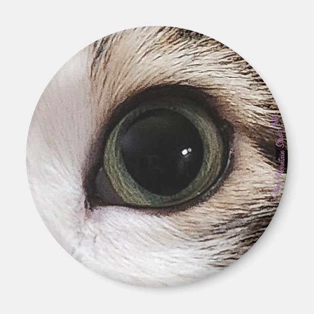 "Ögon har det"-katt öga #2-magnet Magnet (Framsidan)