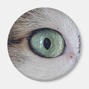 "Ögon har det", öga-kattmagnet Magnet