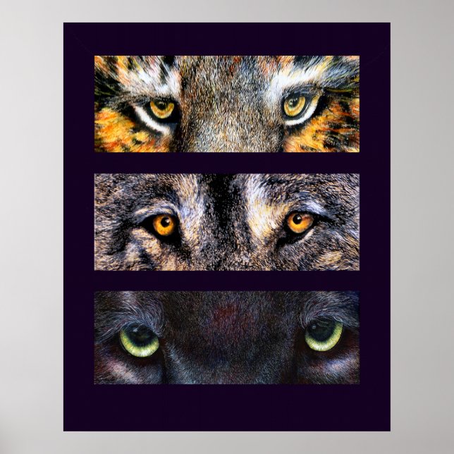 Ögon har det, Poster (Framsidan)