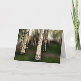 Ögon i Aspen är på oss Kort