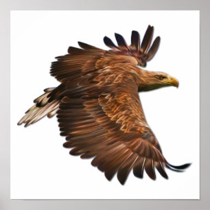 Ögon i Poster av flygvägg