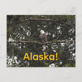 Ögon i träd vykort