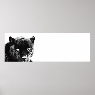 Ögon Jaguar Pop Art Poster