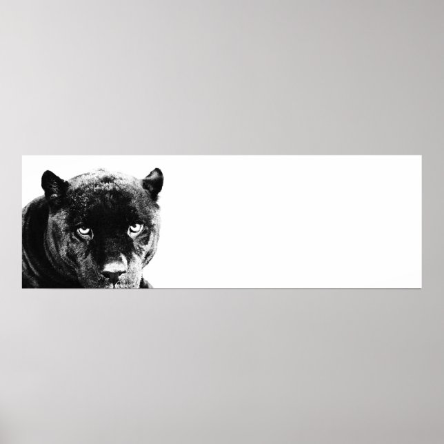 Ögon Jaguar Pop Art Poster (Framsidan)