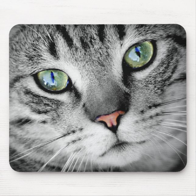 Ögon katt musmatta (Framsidan)