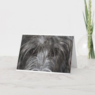 Ögon som mäter kort