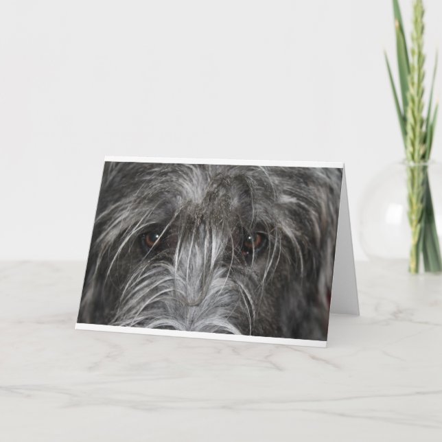 Ögon som mäter kort (Framsida)