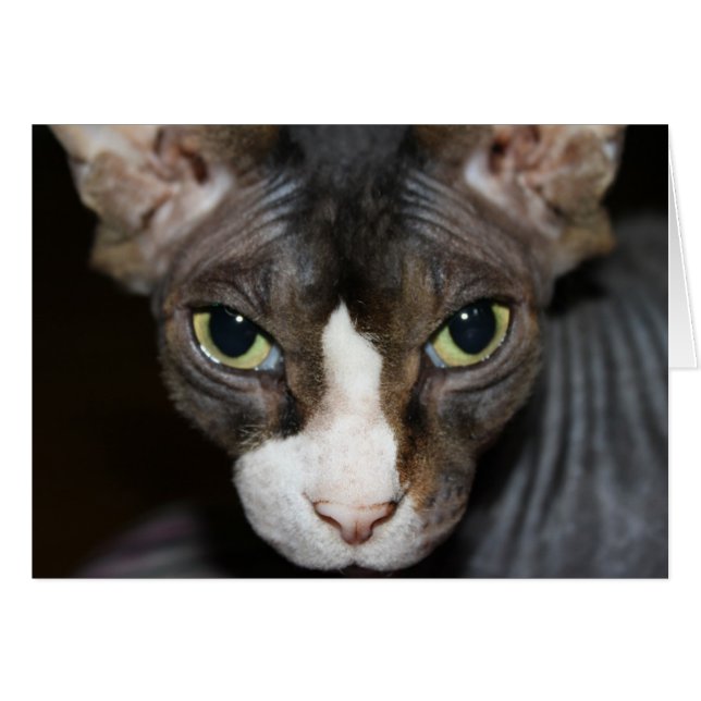 Ögon tittar på dig! hälsningskort (Framsidan Horizontal)