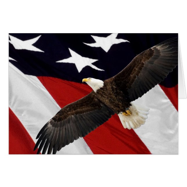 Ögon under flygning över amerikansk Flagga Hälsningskort (Framsidan Horizontal)