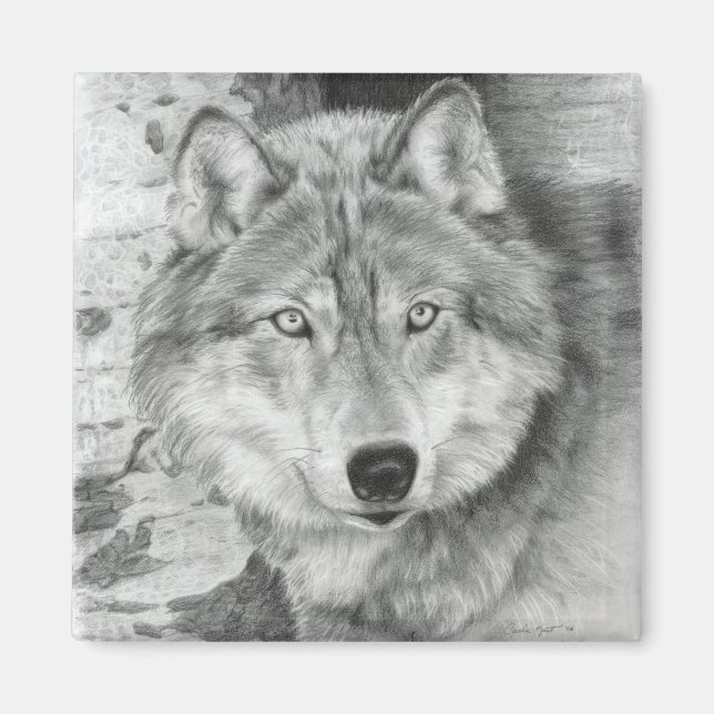 Ögon Varg Magnet (Framsidan)