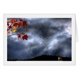 Ögonblick av under hälsningskort