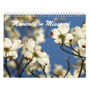Ögonblick i Missouri Kalender