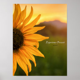 Ögonblicket - upplevelse Prescott Poster