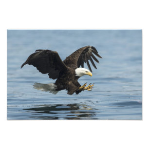 Ögonblicksbild för inflygning fototryck