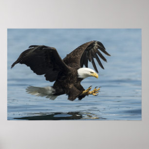 Ögonblicksbild för inflygning poster