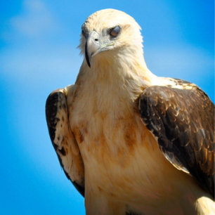 Ögonblicksbildande inspirerande Poster