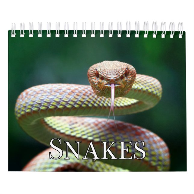 Ögonblickssamlingsväggskalender Kalender (Omslag)