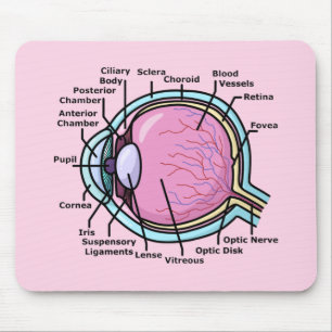 Ögondiagram Musmatta
