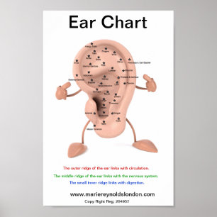 Ögondiagram Poster