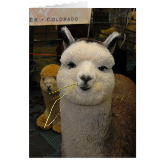 Ögonen! OBS Kort (Framsidan)