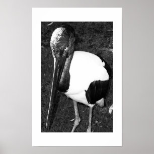 Ögonen som följer svartvitt poster