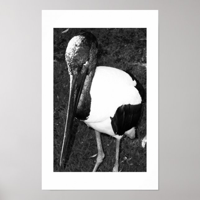 Ögonen som följer svartvitt poster (Framsidan)