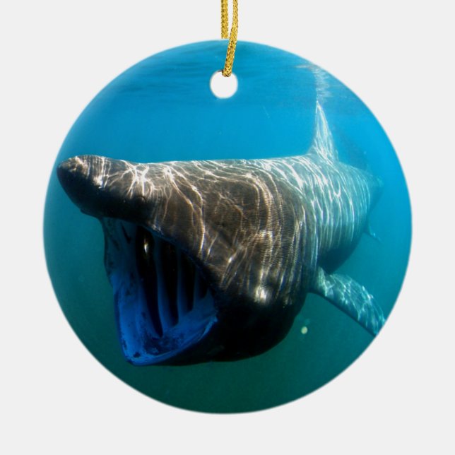 Ögongåvor för hajfiske vid Tropiska oceanen Julgransprydnad Keramik (Framsidan)