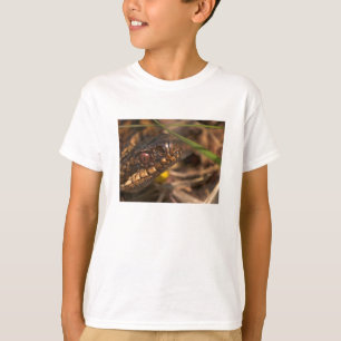 Ögonsjöar Huvud Kids Tee Shirt