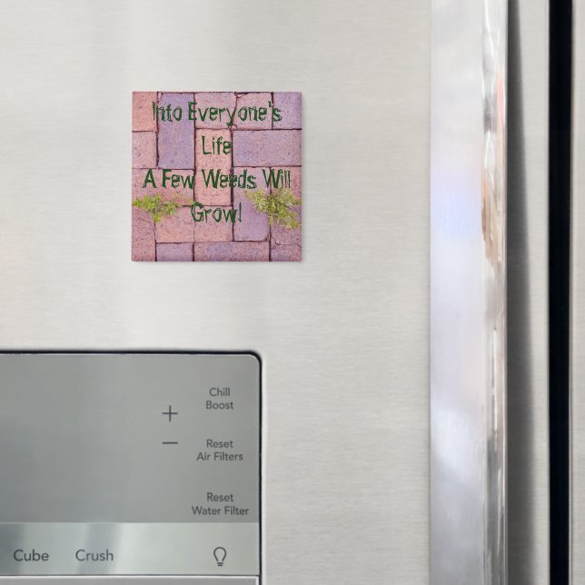 Ogräs i fotoutfoto i Walkway-Personligen Magnet (In Situ (Fridge))