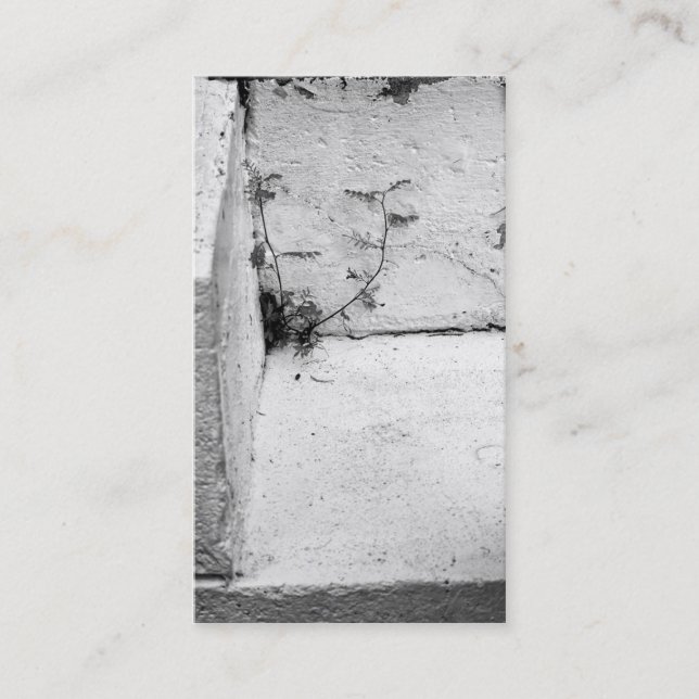 Ogräs på Affärskortet för konkreta steg Visitkort (Framsida)