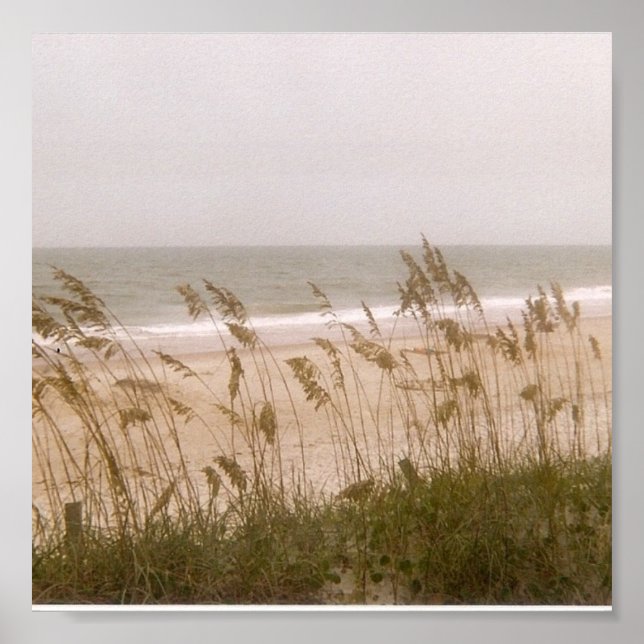 ogräs poster (Framsidan)