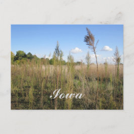 Ogräs, Träd och Himlar Iowa vykort