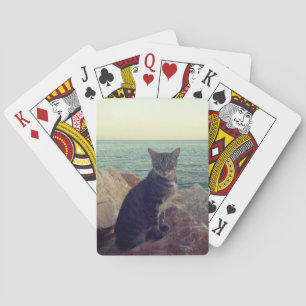 Oh cat and sunset casinokort
