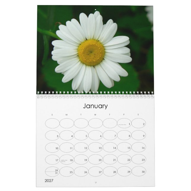 Oh daisyväggkalender kalender (Jan 2027)