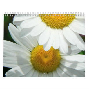 Oh daisyväggkalender kalender