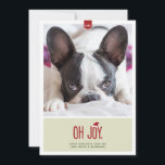Oh för helgdagfoto för glädje | roligt kort<br><div class="desc">Ett snarky helgdagfotokort som presenterar det sarkastiskt,  formulerar "Oh glädje.",  Designen inkluderar också en gullig santa hattsitta på den röda bokstäver.</div>