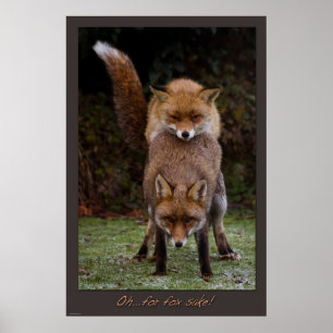 Oh. För rävSake Poster