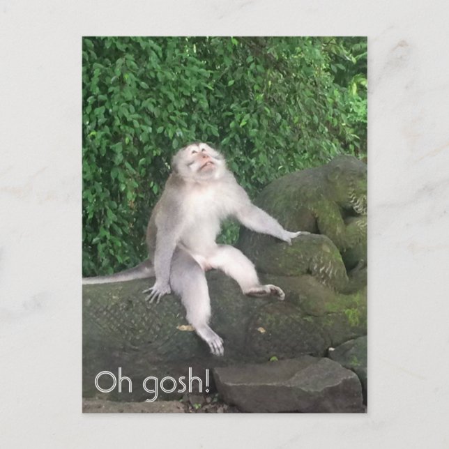 Oh gosh apkey vykort (Framsida)