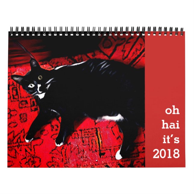 Oh Hai Calendar Kalender (Omslag)