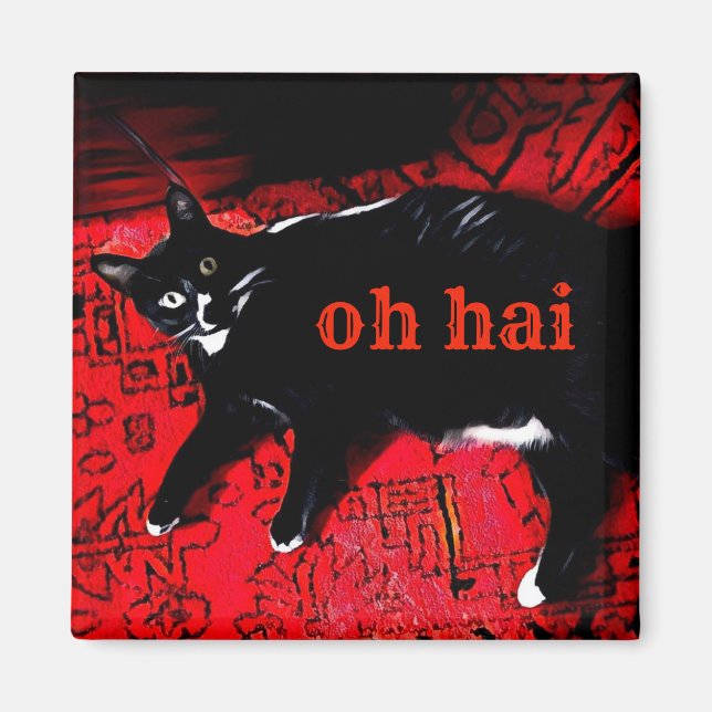 Oh Hai kattmagnet Magnet (Framsidan)