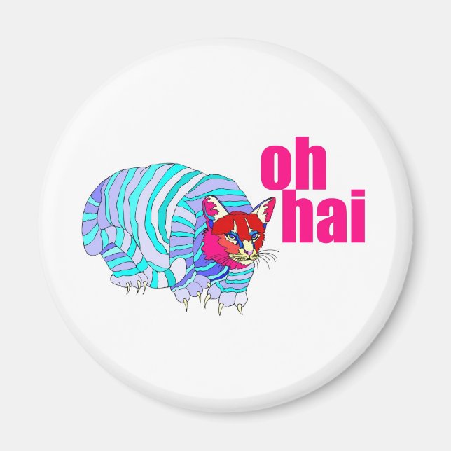 oh hai magnet (Framsidan)