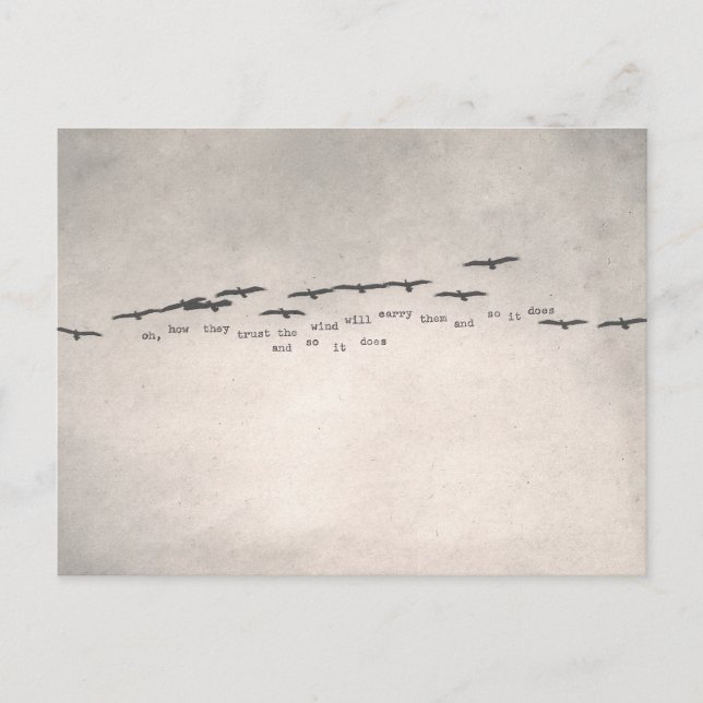 "oh, hur de litar på ", vykort (Framsida)