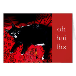 Oh kort för Hai Thx anpassadetack