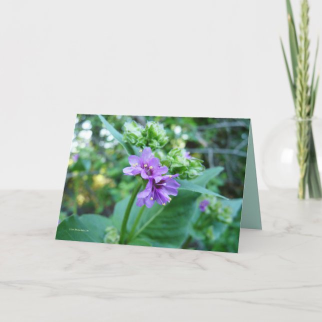 Oh så purpurfärgat kort (Framsida)