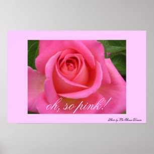 oh så rosa! poster